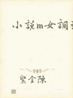 小说m女调教
