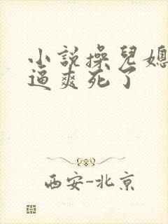 小说操儿媳妇小逼爽死了