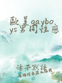欧美gayboys男同性恋