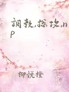 调教,总攻,np