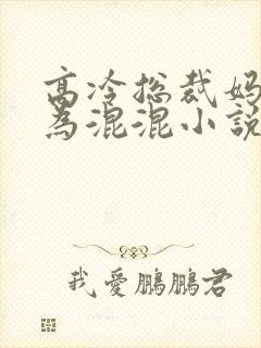 高冷总裁妈妈沦为混混小说免费阅读