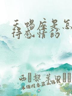 天蝎座是怎么对待感情的