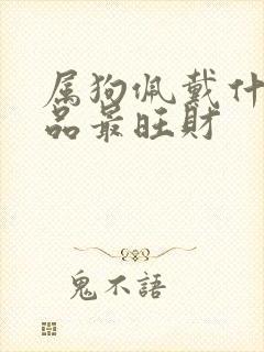 属狗佩戴什么饰品最旺财