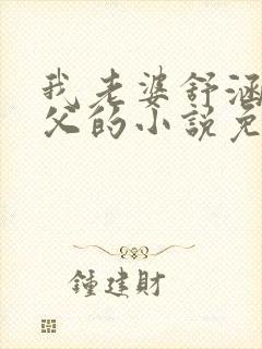 我老婆舒涵和养父的小说免费阅读