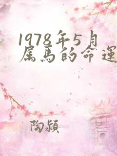 1978年5月属马的命运