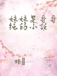 妹妹是哥哥的安纯的小说