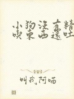 小狗没有精神不吃东西还吐怎么办