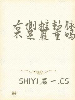 右侧椎动脉供血不足严重吗