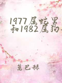 1977属蛇男和1982属狗女相配吗