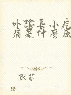 外阴长小疙瘩痒痛是什么原因