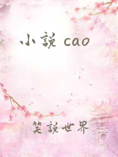 小说 cao