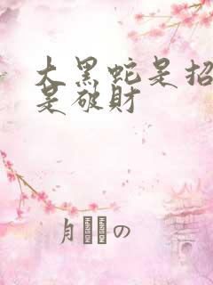 大黑蛇是招财还是破财