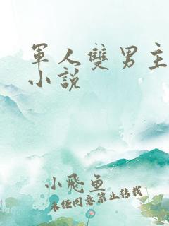 军人双男主高干小说