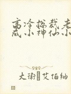 高冷总裁老婆变成小神仙小说全集