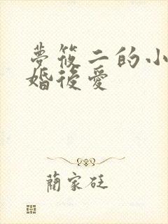 梦筱二的小说先婚后爱