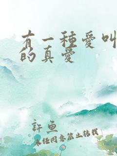 有一种爱叫婚外的真爱