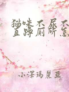 猫咪不尿不拉一直蹲厕所怎么办