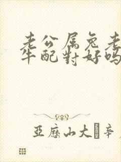 老公属兔老婆属牛配对好吗