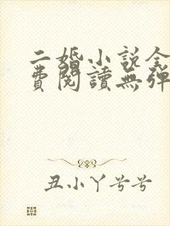 二婚小说全文免费阅读无弹窗