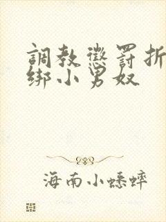 调教惩罚折磨捆绑小男奴