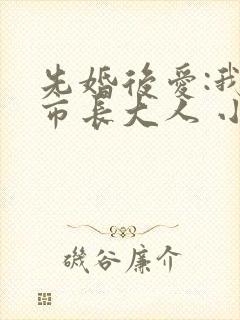 先婚后爱:我的市长大人 小说