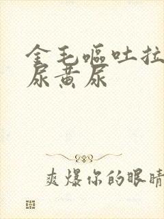 金毛呕吐拉稀 尿黄尿