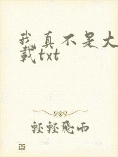 我真不是大佬下载txt