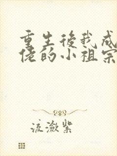 重生后我成了大佬的小祖宗免费阅读