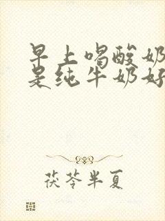 早上喝酸奶好还是纯牛奶好