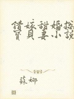 错嫁甜婚总裁的宝贝妻小说完整版