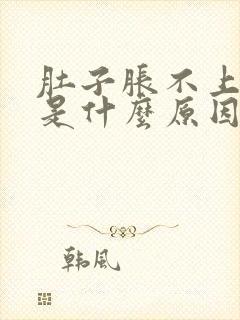 肚子胀不上厕所是什么原因