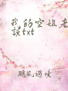 我的空姐老婆小说txt