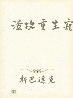 渣攻重生宠受文