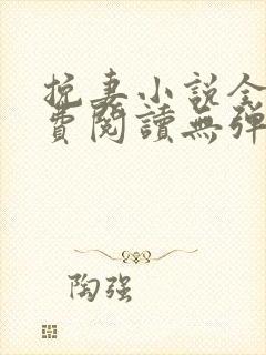 挽妻小说全文免费阅读无弹窗