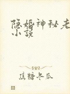隐婚神秘老公 小说