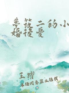 梦筱二的小说先婚后爱