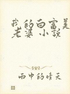 我的白富美总裁老婆 小说