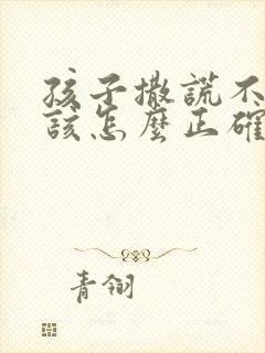 孩子撒谎不承认该怎么正确引导?