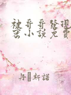 被哥哥发现的秘密小说免费阅读全文