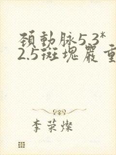 颈动脉5.3*2.5斑块严重吗