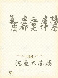 气虚血虚阳虚阴虚都是什么状