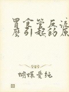 胃食管反流是什么引起的原因