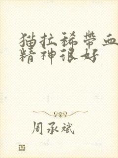 猫拉稀带血但是精神很好