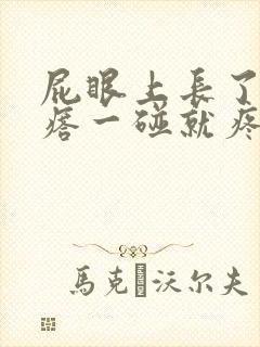 屁眼上长了个疙瘩一碰就疼