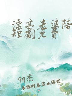 漂亮老婆陪过年短剧免费