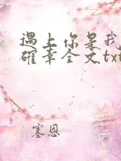 遇上你是我的小确幸全文txt下载