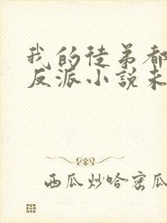 我的徒弟都是大反派小说未删减版