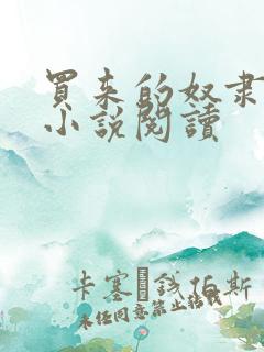 买来的奴隶夫郎小说阅读