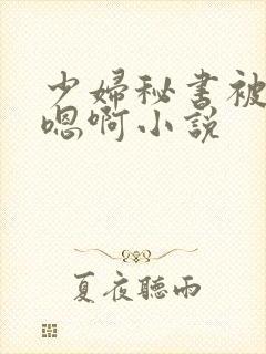 少妇秘书被狂啪嗯啊小说