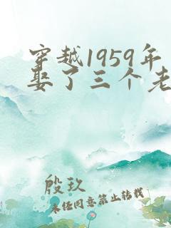 穿越1959年娶了三个老婆的小说免费阅